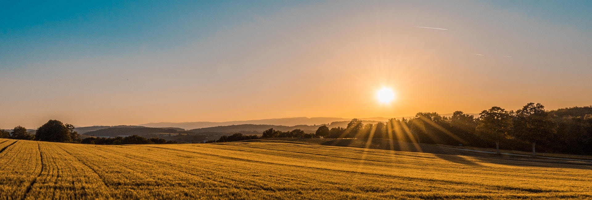 Kurban Kesimi Nasıl Yapılır?