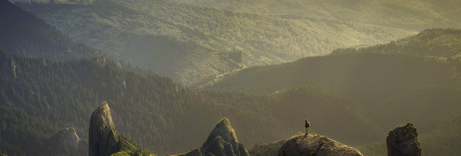 Kurban Seçimi Dikkat Edilmesi Gerekenler